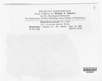 Image Associated With the Occurence